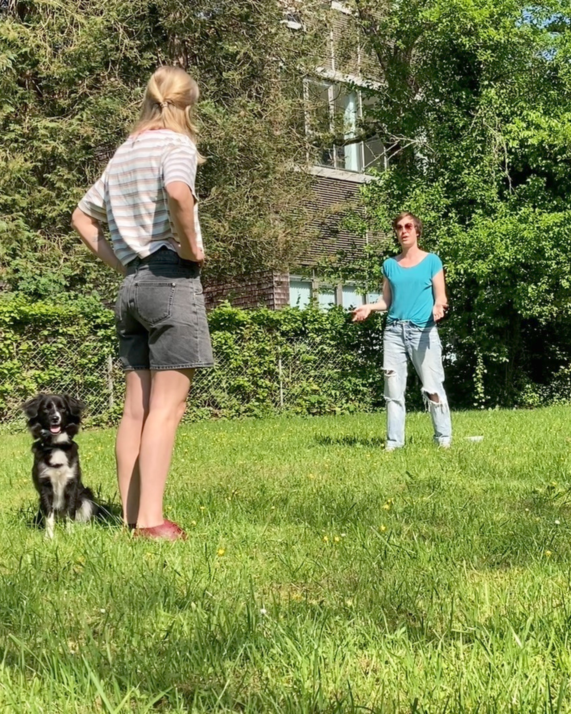 Zwei Frauen und ein Hund auf einer Wiese beim gemeinsamen Training