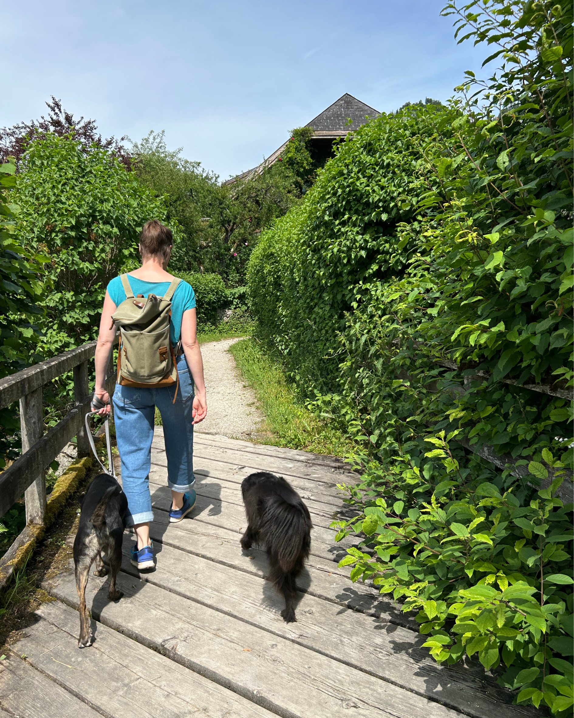 Eine Frau geht mit zwei Hunden über einen Steg im Garten